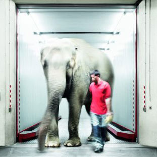 貨梯和專(zhuān)用電梯